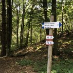Segnaletica nel Bosco del Respiro presso Fai della Paganella (Trentino) - Foto F. Meneguzzo